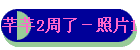 ܷܷ2ˣƬ1