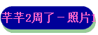 ܷܷ2ˣƬ1