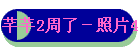 ܷܷ2ˣƬ4