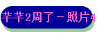 ܷܷ2ˣƬ4
