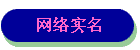 ʵ